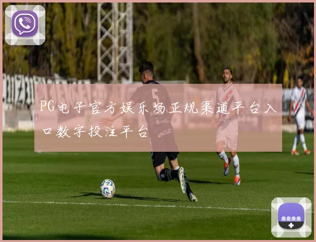 PG电子官方娱乐场正规渠道平台入口数字投注平台