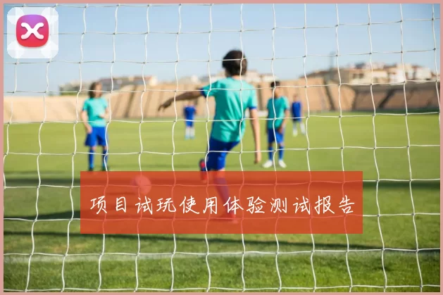 项目试玩使用体验测试报告