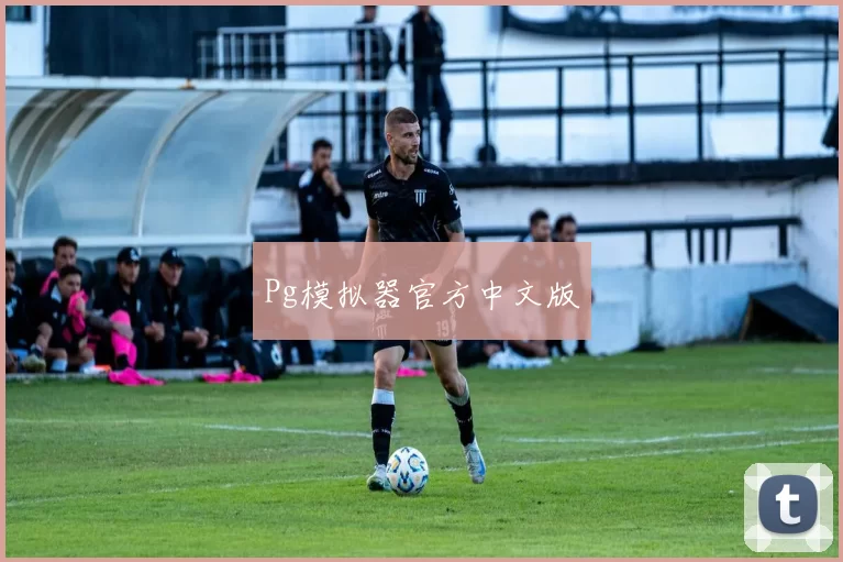 Pg模拟器官方中文版
