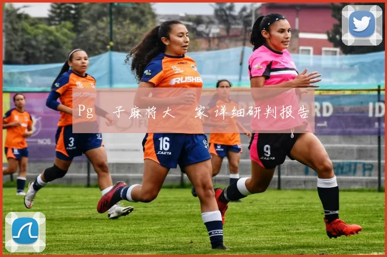 Pg電子麻将大贏家 详细研判报告