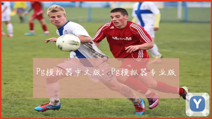 Pg模拟器中文版：Pg模拟器专业版