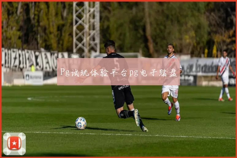 Pg试玩体验平台pg电子赌盘